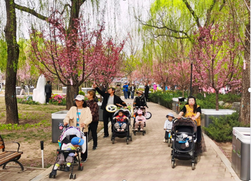 QQ20260406-185214_副本.jpg