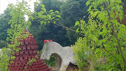图片5.jpg