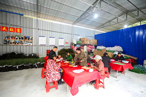 图片5.jpg
